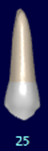 mceclip14.png